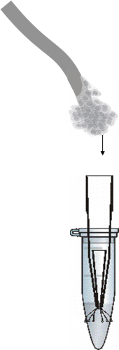 Schéma metody pro qPCR